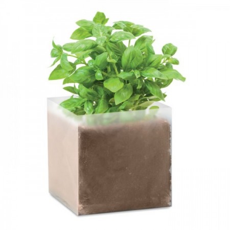 Caja con semillas de albahaca para plantar - regalos ecológicos