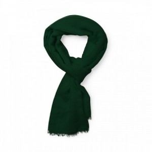 Pañuelo Foulard de moda verde