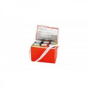  Bolsa nevera isotérmica 6 latas de PVC con cremallera para merchandising