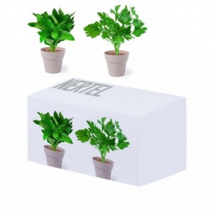  Macetas personalizadas con logo y semillas menta y perejil para regalos de empresa