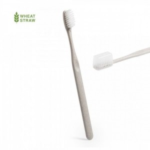 Cepillo dientes material ecológico en caña de trigo